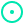 Circle dot icon